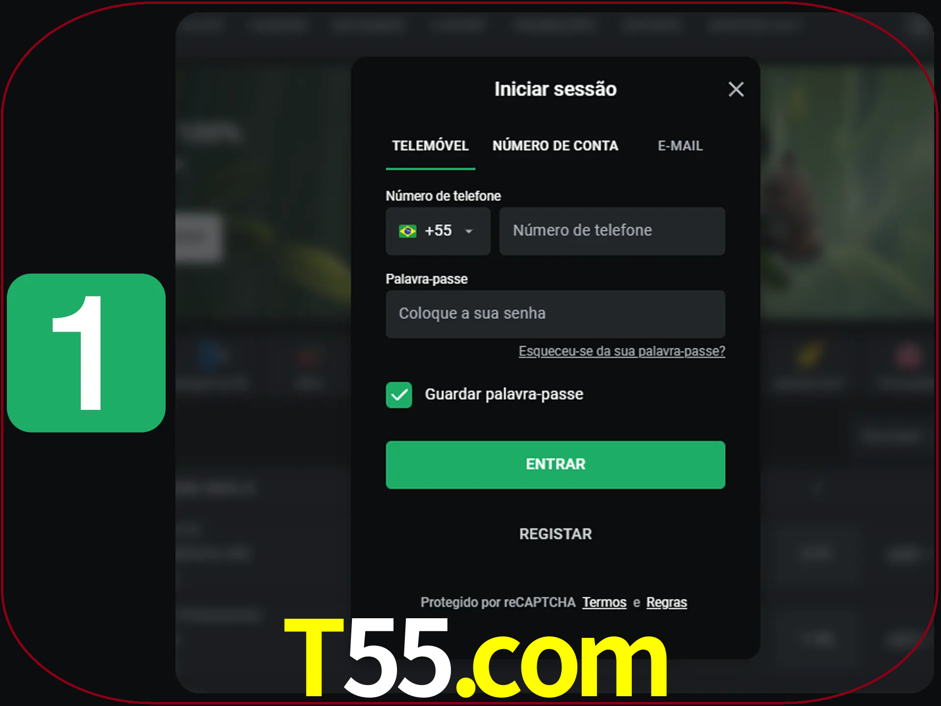 Clique no botão Entrar.